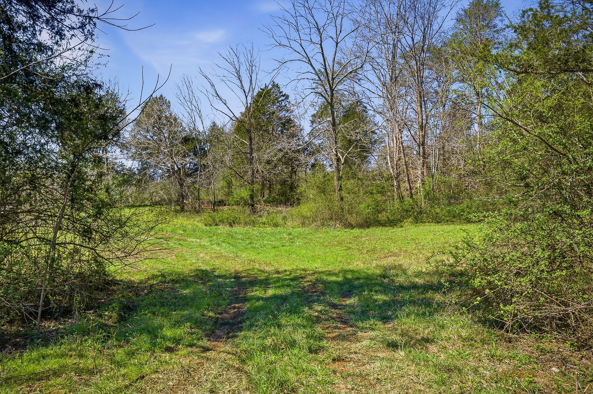 0 Ditty Road Cookeville TN 38506