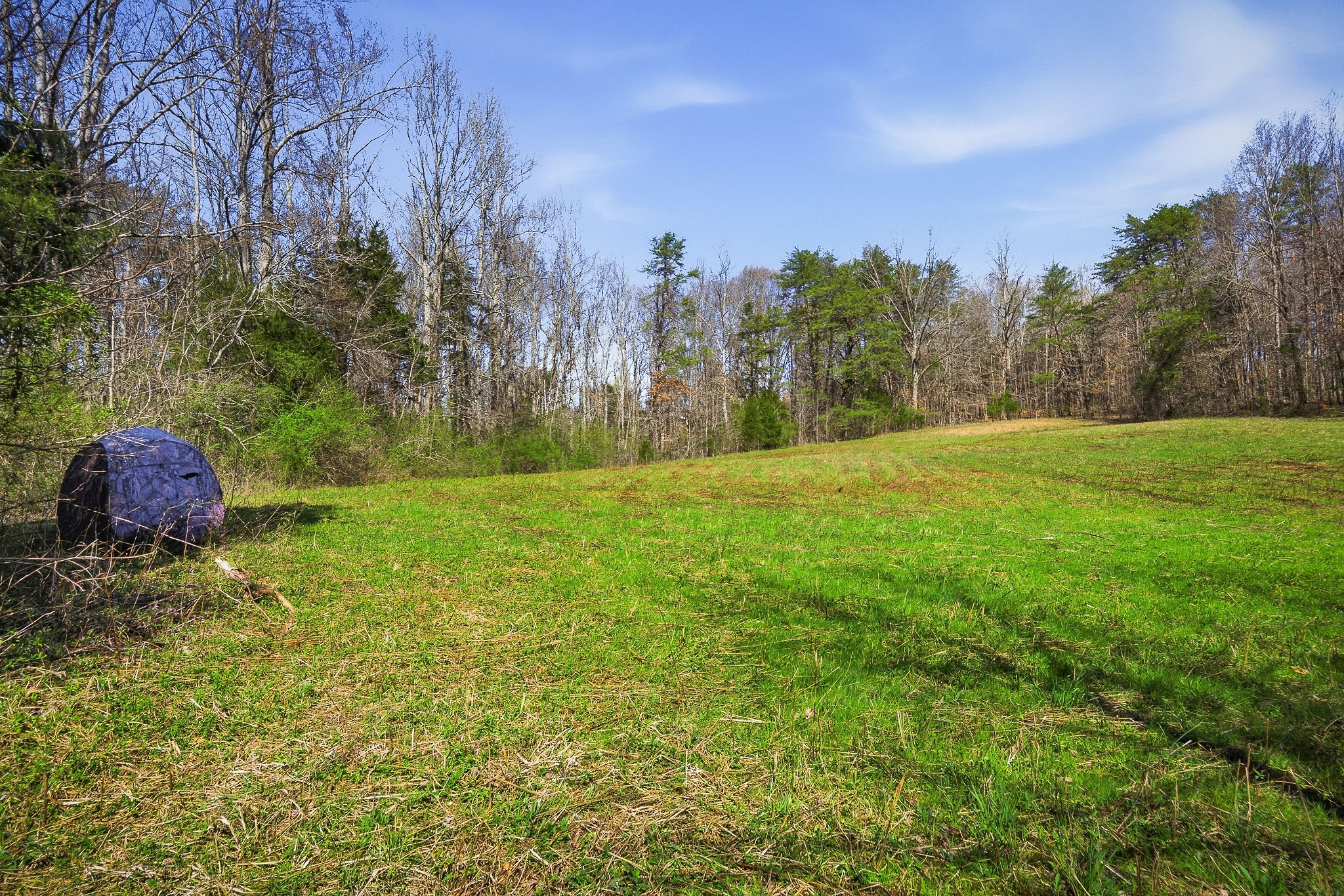0 Ditty Road Cookeville TN 38506