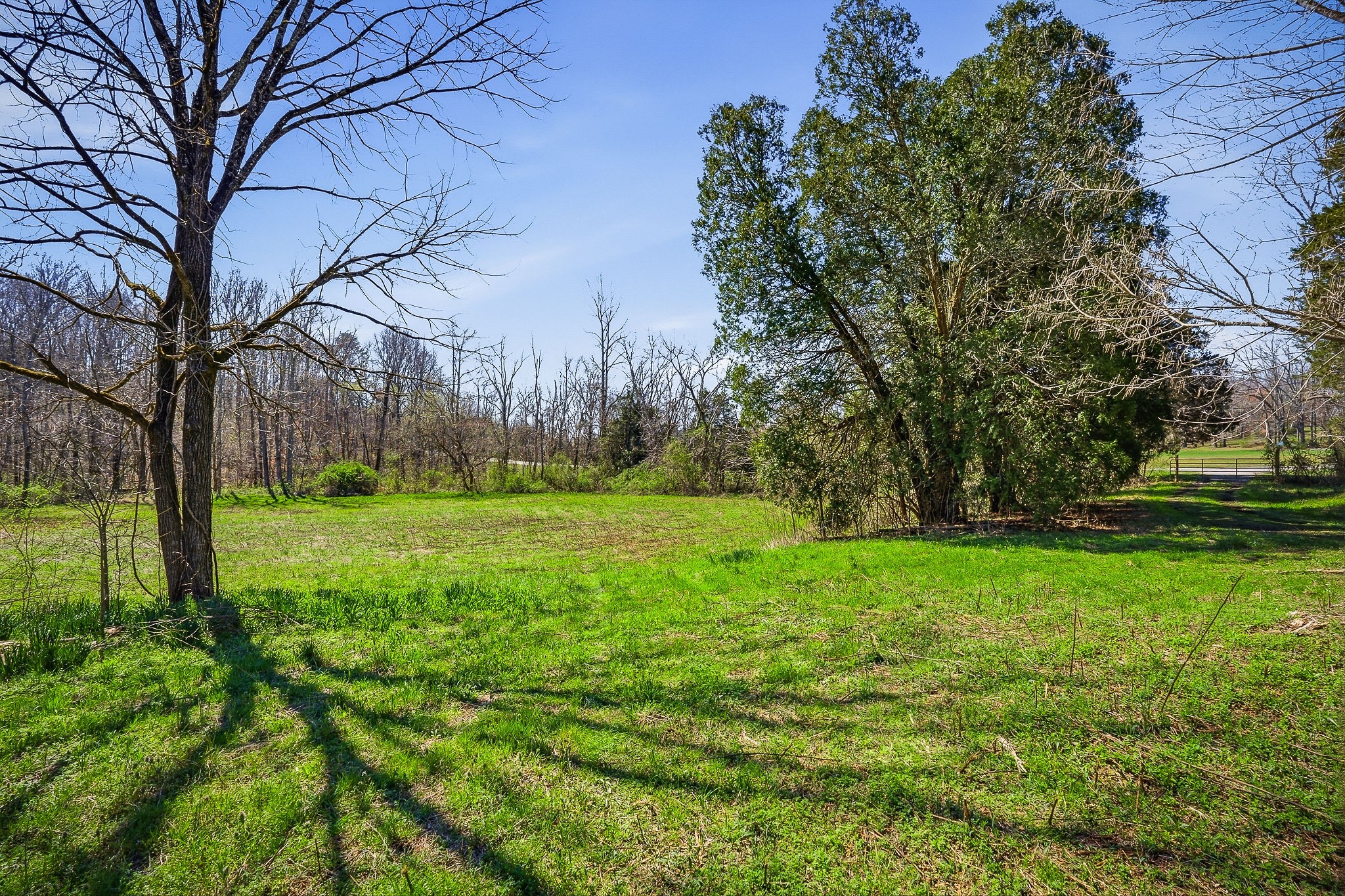 0 Ditty Road Cookeville TN 38506