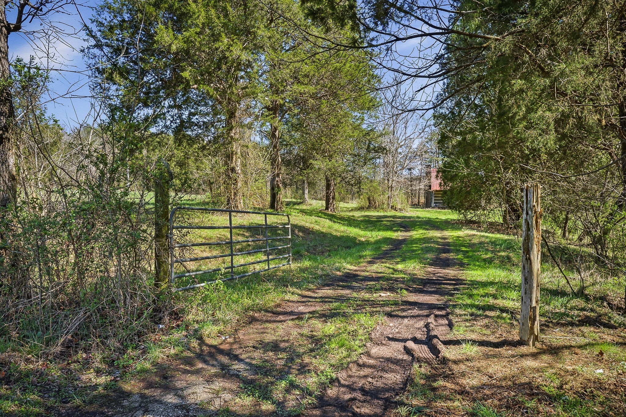0 Ditty Road Cookeville TN 38506