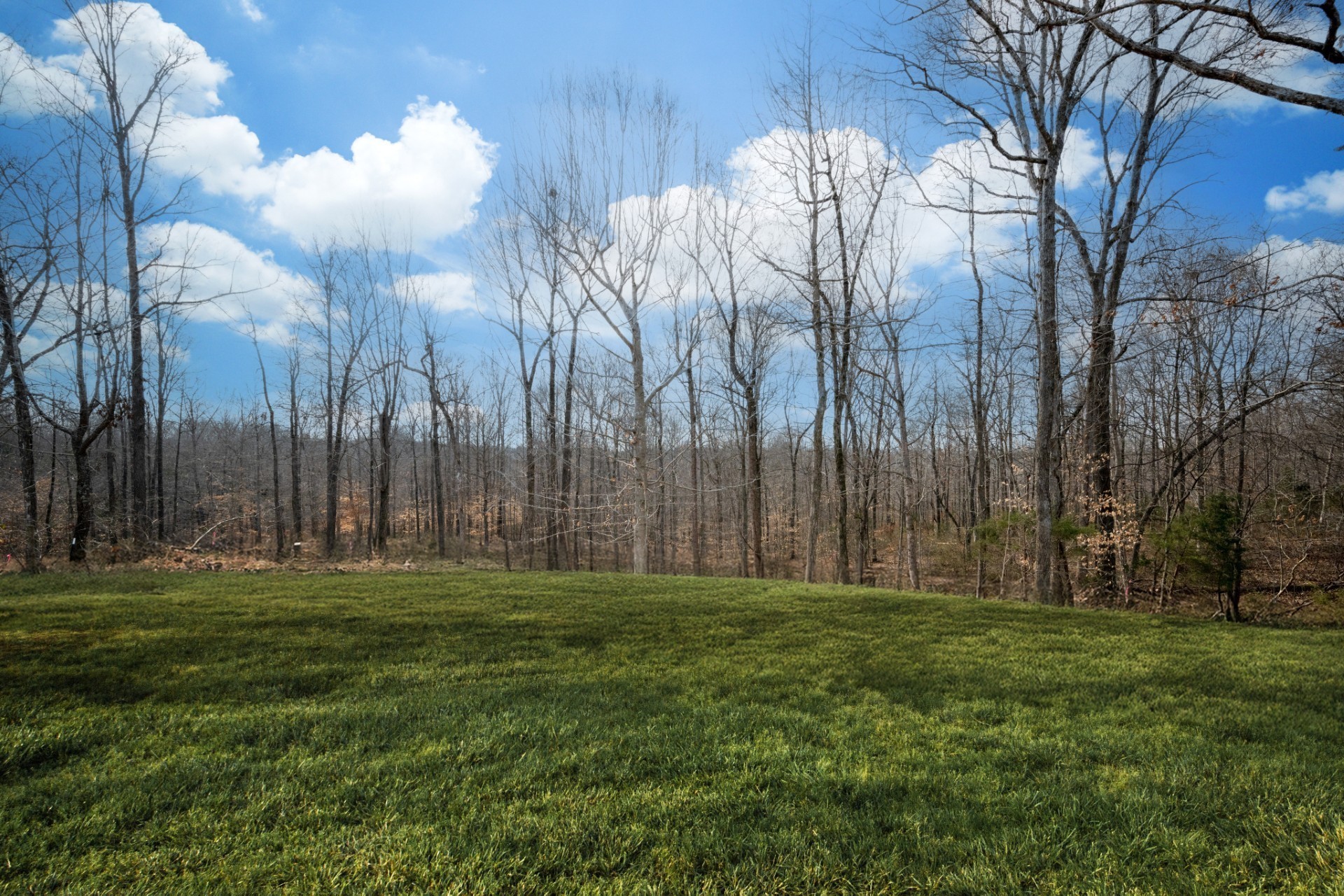 3033 Bowker Road Charlotte TN 37036
