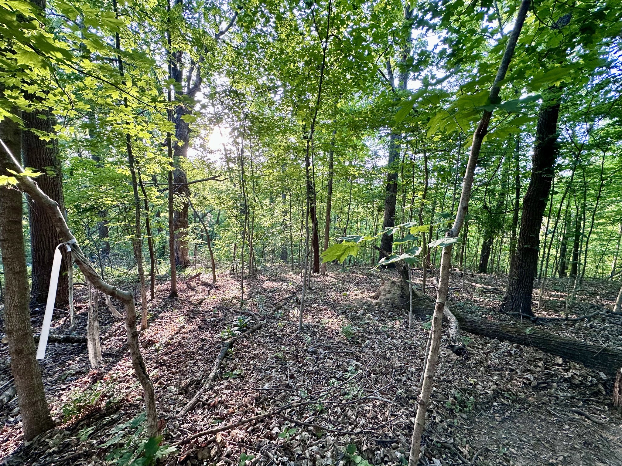 4834 Brick Church Pike Goodlettsville TN 37072