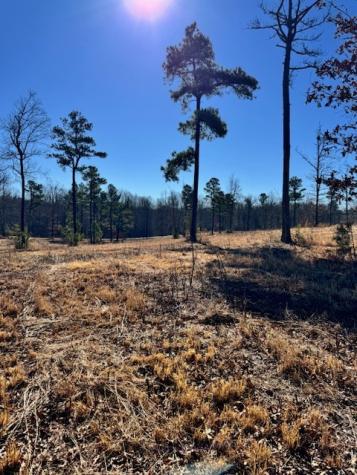 0 Box House Road Belvidere TN 37306