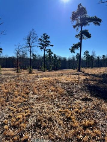 0 Box House Road Belvidere TN 37306