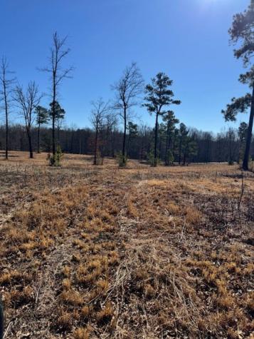 0 Box House Road Belvidere TN 37306