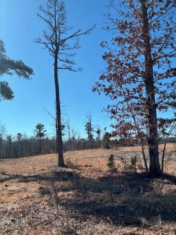 0 Box House Road Belvidere TN 37306