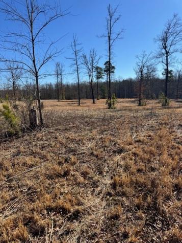 0 Box House Road Belvidere TN 37306