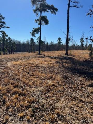 0 Box House Road Belvidere TN 37306