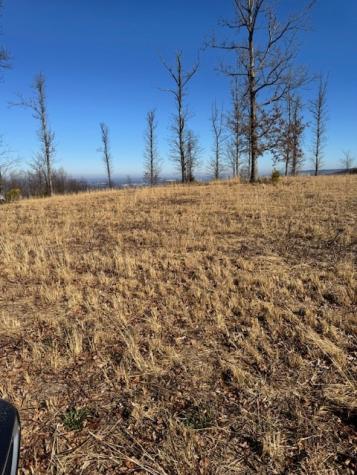 0 Box House Road Belvidere TN 37306