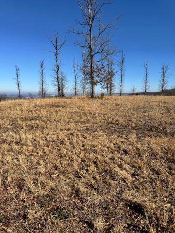 0 Box House Road Belvidere TN 37306