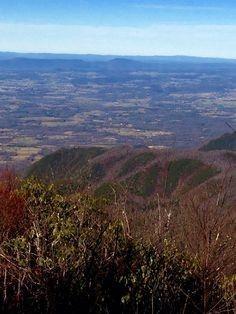 0 Box House Road Belvidere TN 37306