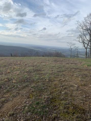 0 Box House Road Belvidere TN 37306