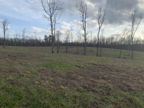 0 Box House Road Belvidere TN 37306