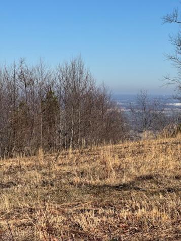 0 Box House Road Belvidere TN 37306