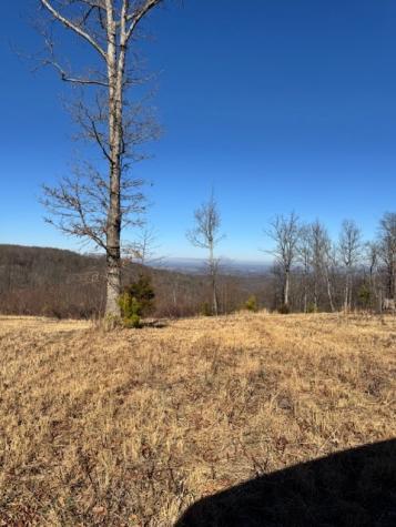 0 Box House Road Belvidere TN 37306