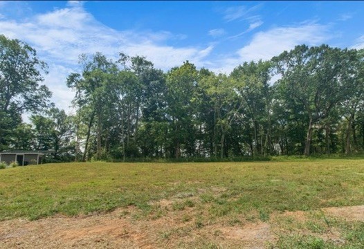 866 Shady Bluff Trail Clarksville TN 37043