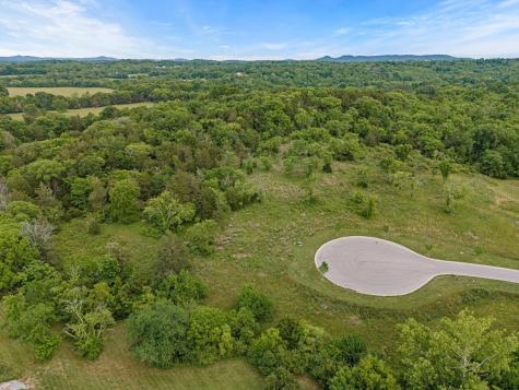 9447 Thatchbay Court College Grove TN 37046