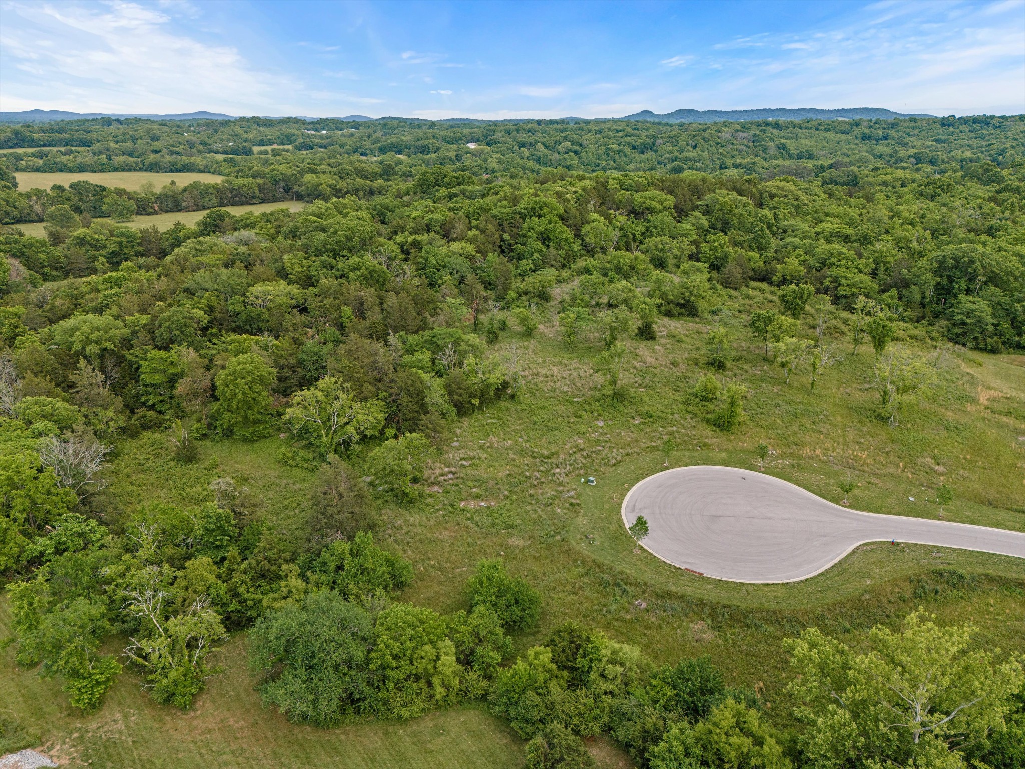 9447 Thatchbay Court College Grove TN 37046