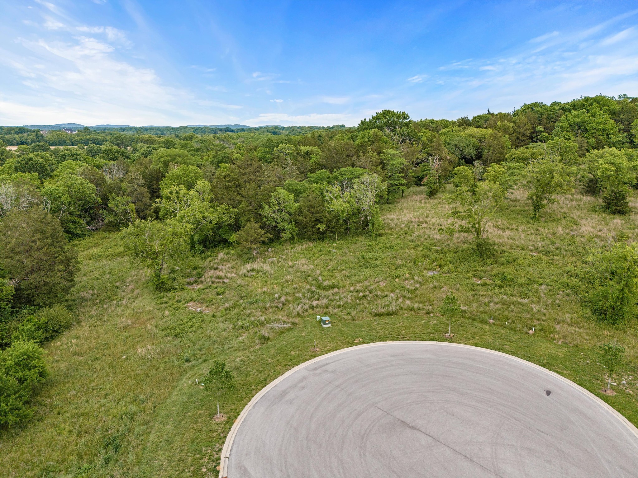 9447 Thatchbay Court College Grove TN 37046