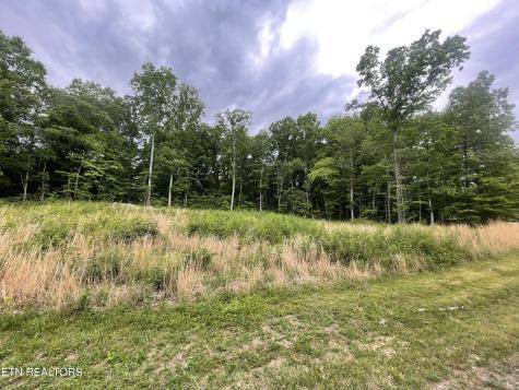 0 Willow Ridge Drive Crossville TN 38571
