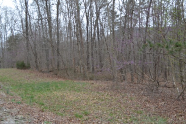 0 Cheyenne Drive Jamestown TN 38556