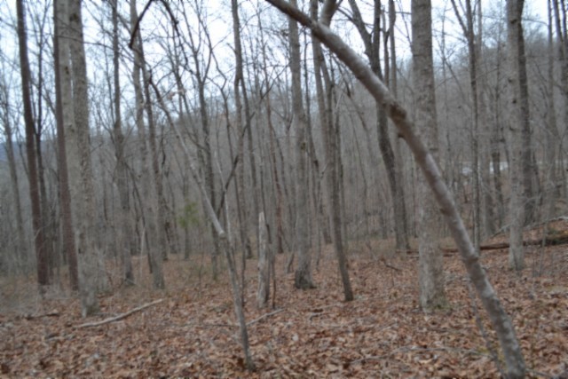 0 Cheyenne Drive Jamestown TN 38556