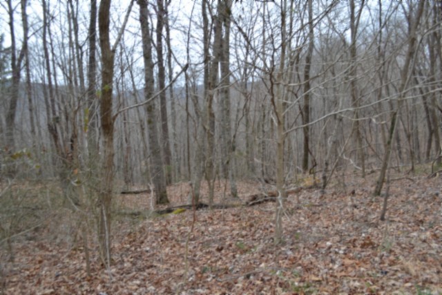 0 Cheyenne Drive Jamestown TN 38556