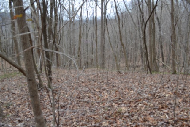 0 Cheyenne Drive Jamestown TN 38556