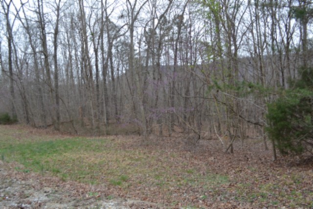 0 Cheyenne Drive Jamestown TN 38556