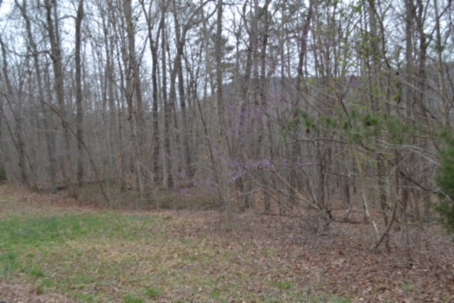 0 Cheyenne Drive Jamestown TN 38556