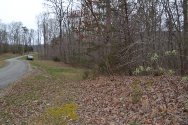 0 Cheyenne Drive Jamestown TN 38556