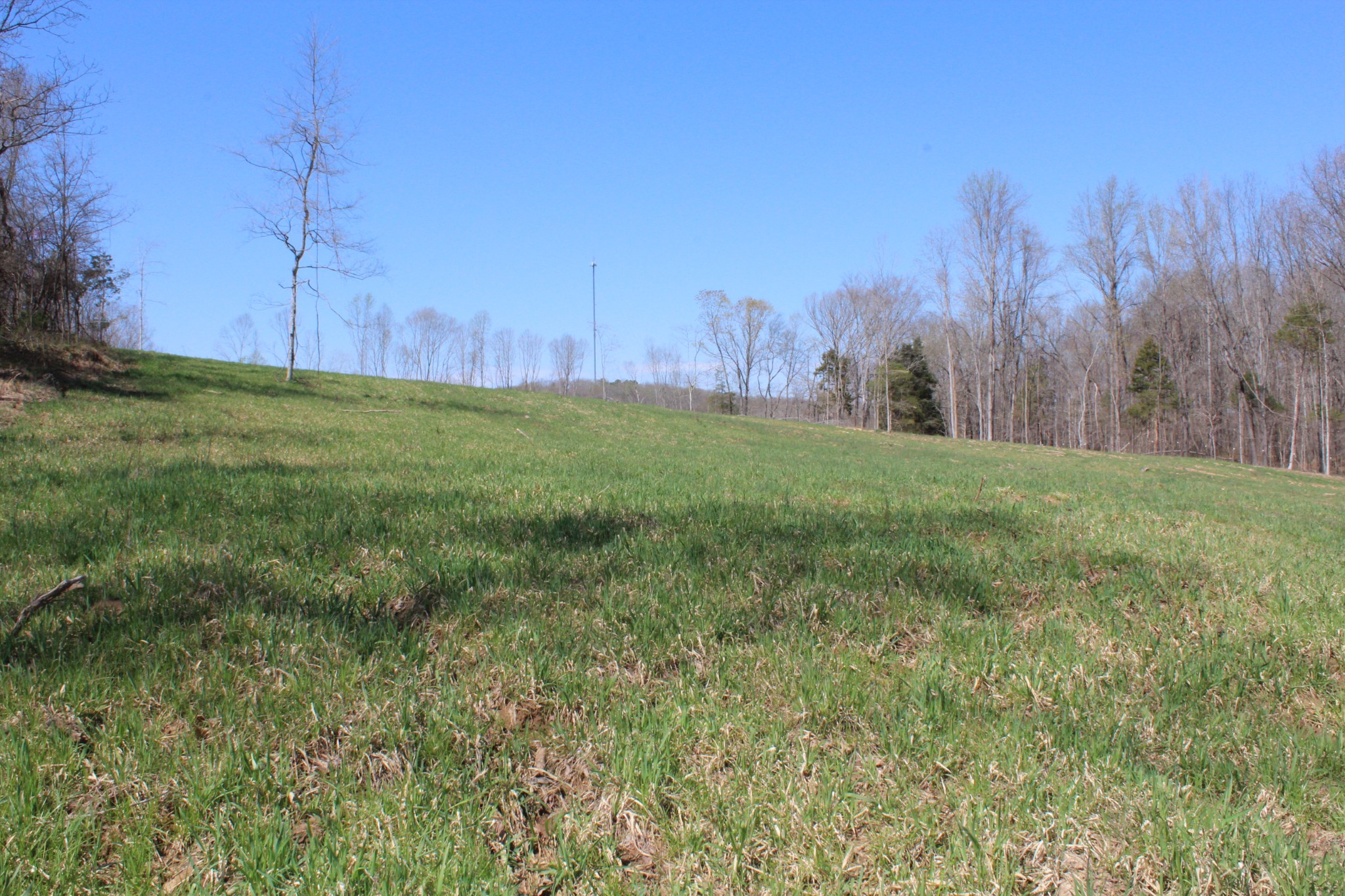 1 Grices Creek Road Cumberland City TN 37050