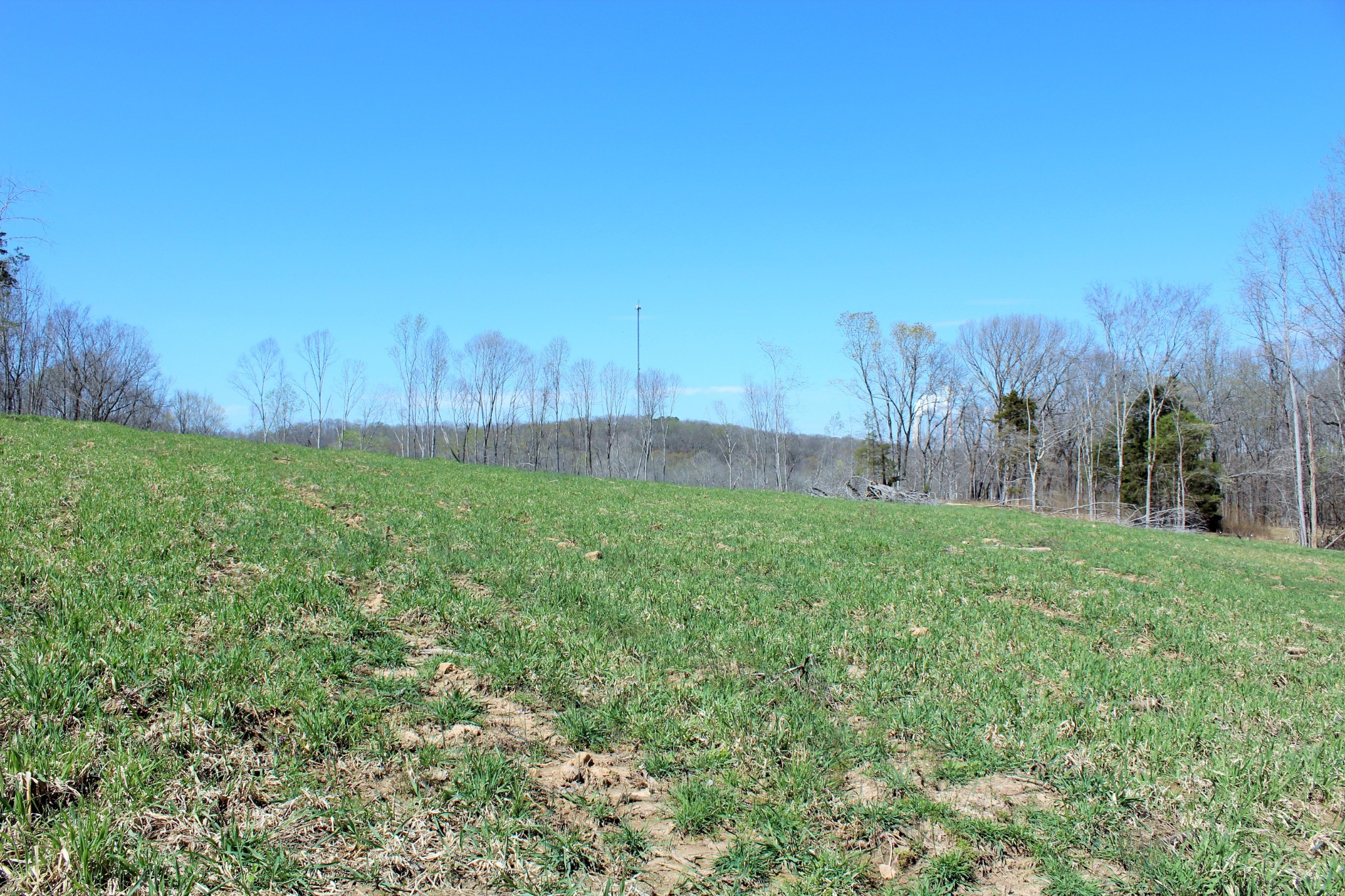 1 Grices Creek Road Cumberland City TN 37050