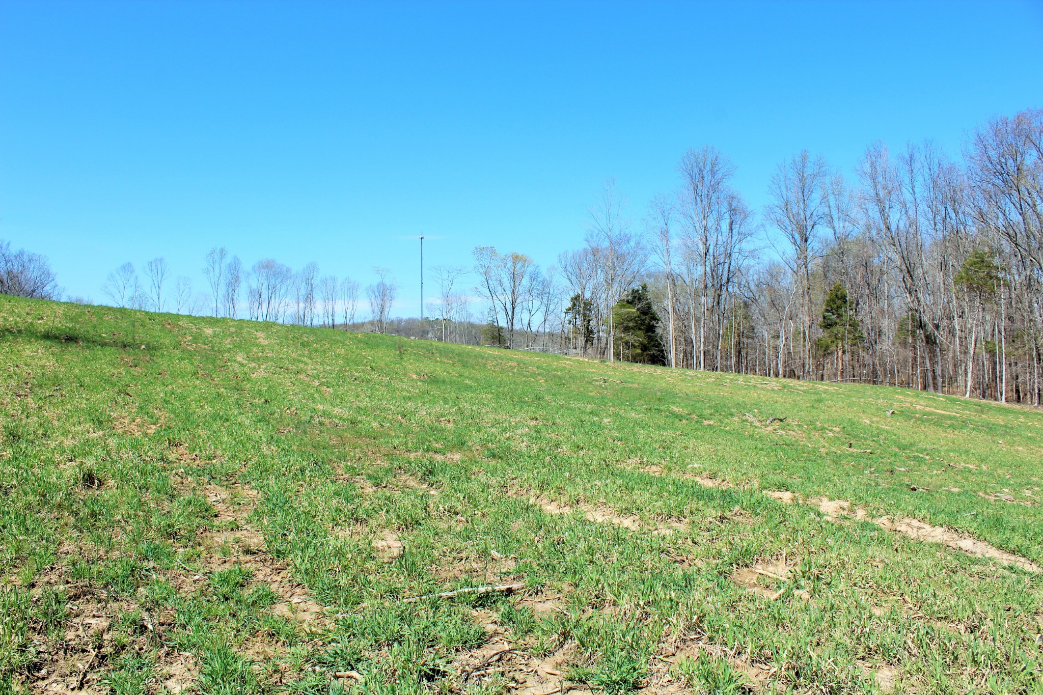 1 Grices Creek Road Cumberland City TN 37050
