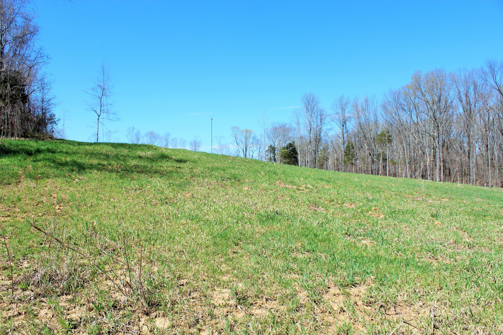 1 Grices Creek Road Cumberland City TN 37050