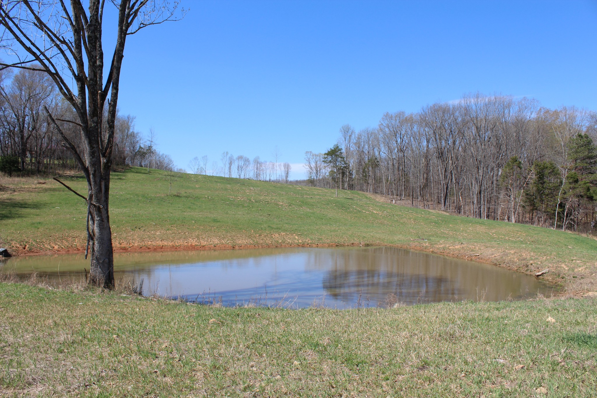 1 Grices Creek Road Cumberland City TN 37050