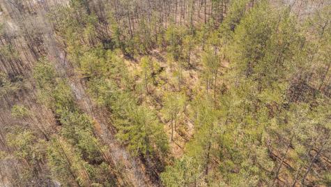 0 Mulberry Avenue Selmer TN 38375