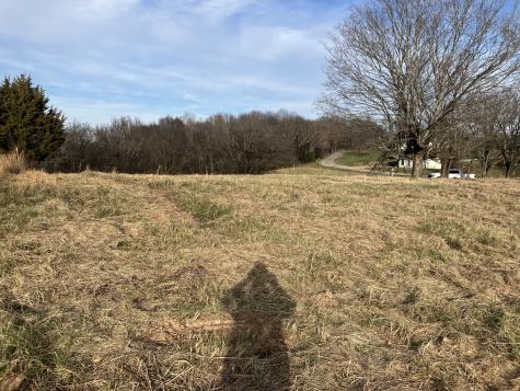1 Diana Ridge Road Pulaski TN 38478