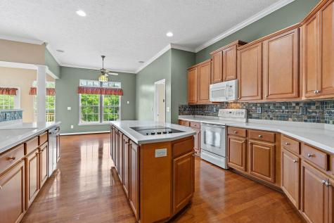 1033 Queens Place Spring Hill TN 37174