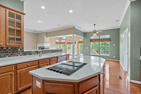 1033 Queens Place Spring Hill TN 37174