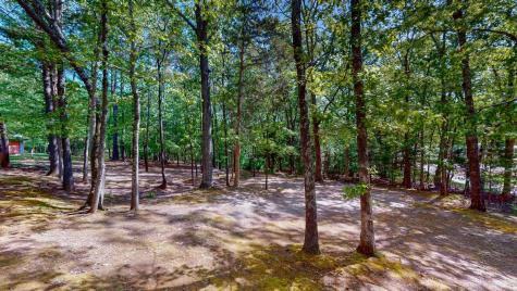 35 Davis Road Springville TN 38256