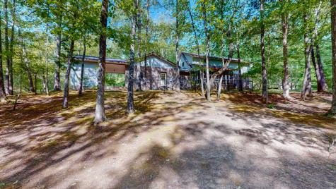 35 Davis Road Springville TN 38256