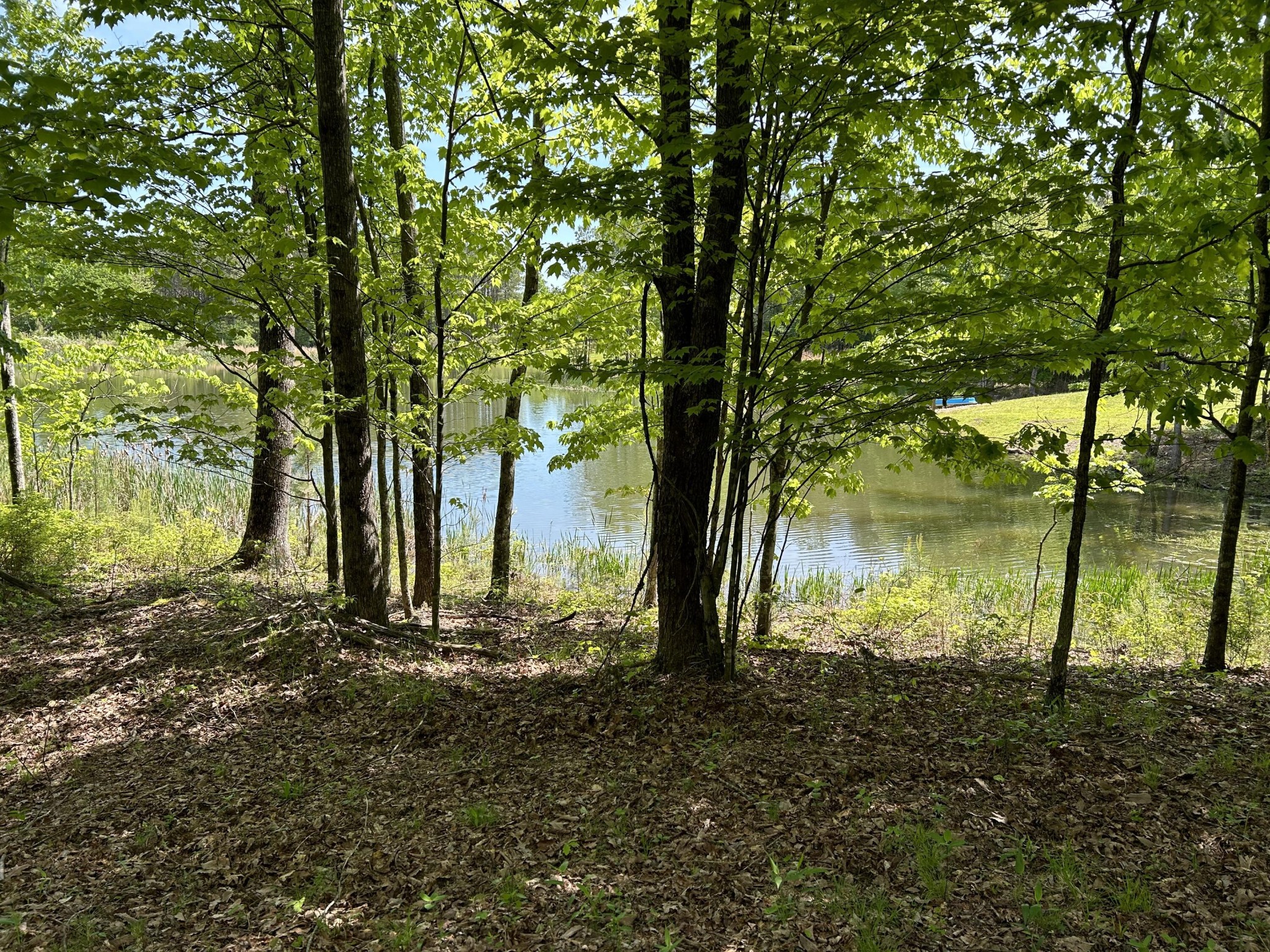 250 Bear Trace Drive Jasper TN 37347