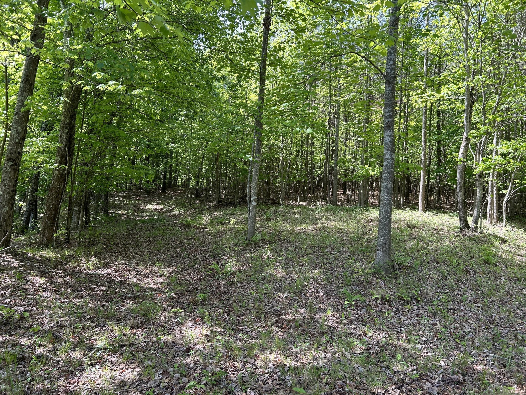 250 Bear Trace Drive Jasper TN 37347