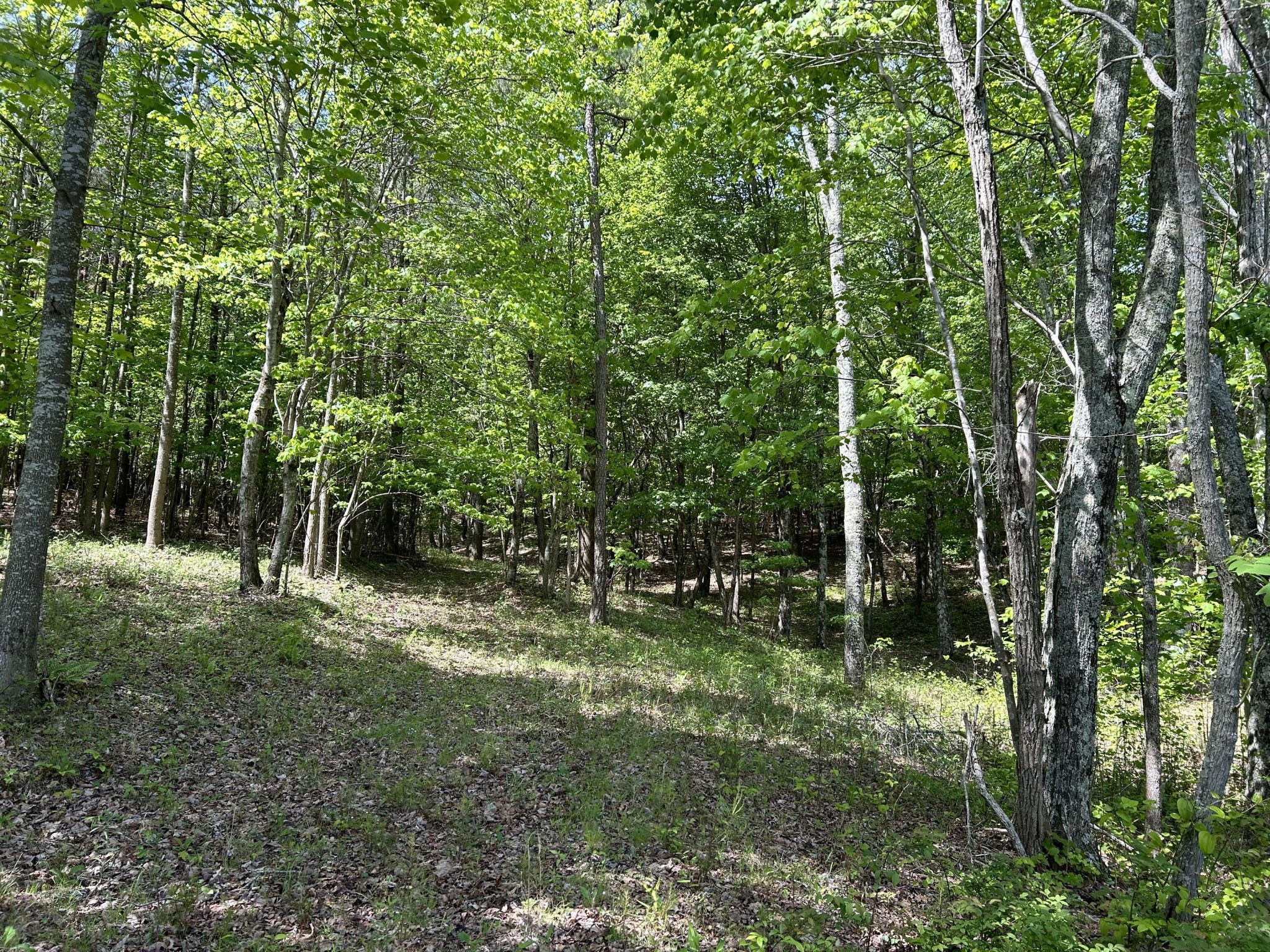 250 Bear Trace Drive Jasper TN 37347