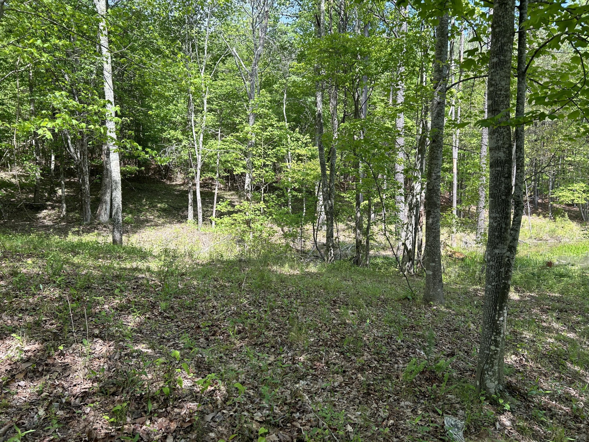 250 Bear Trace Drive Jasper TN 37347