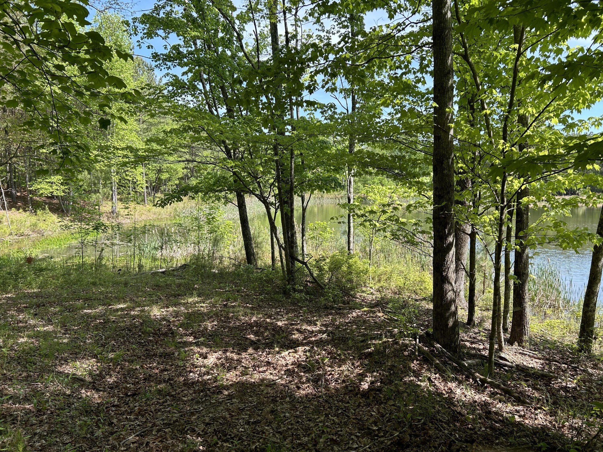 250 Bear Trace Drive Jasper TN 37347
