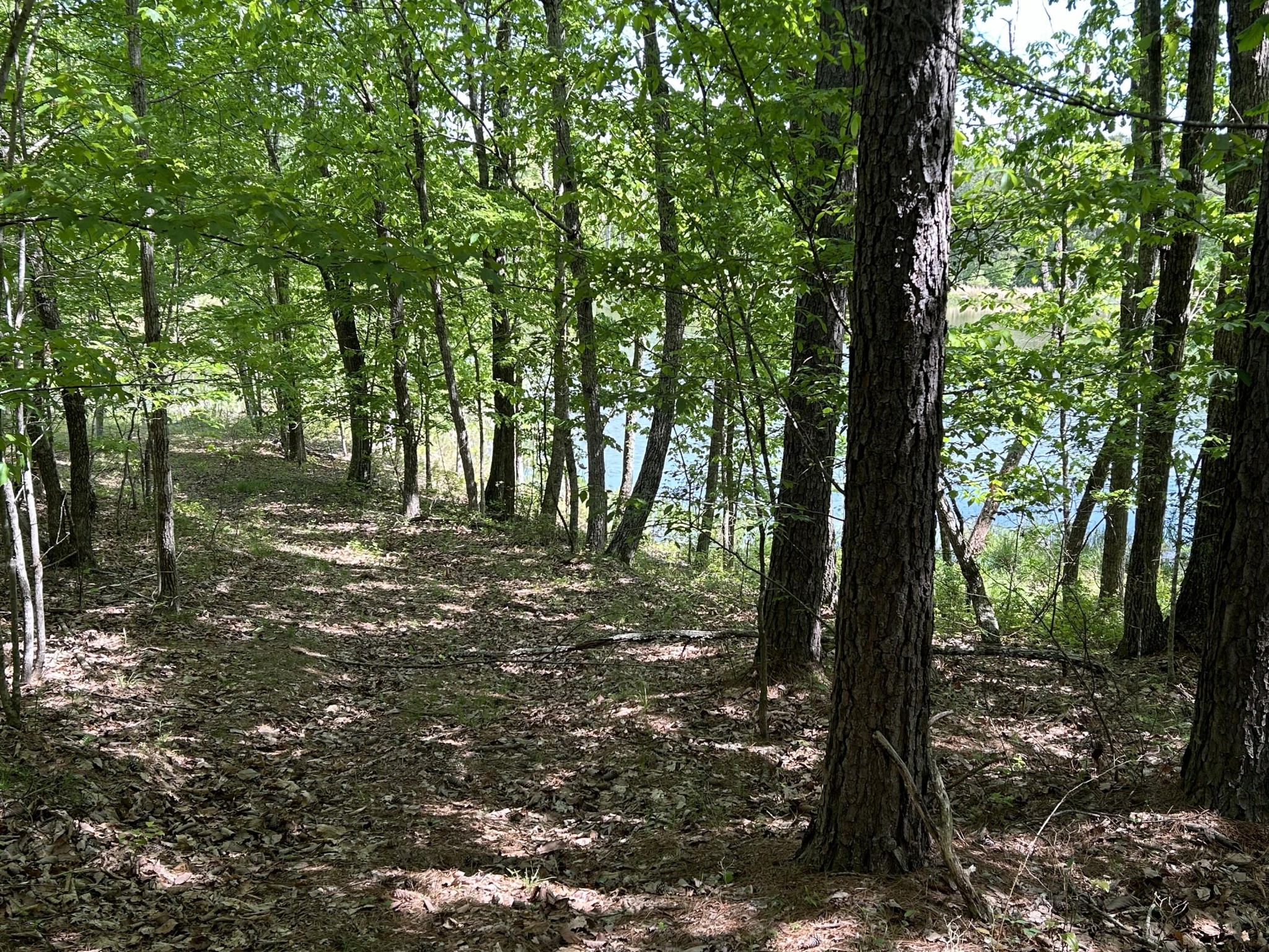 250 Bear Trace Drive Jasper TN 37347