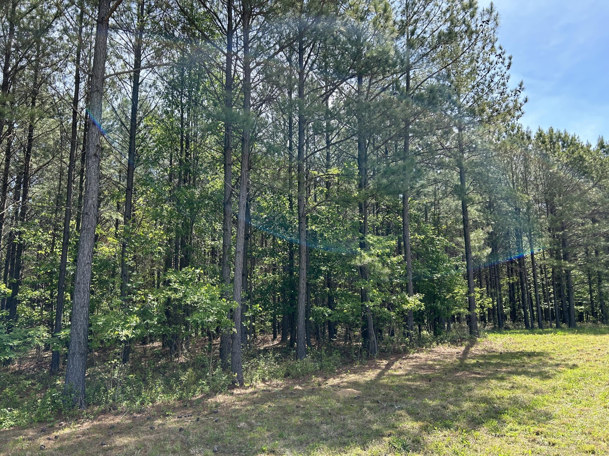 250 Bear Trace Drive Jasper TN 37347