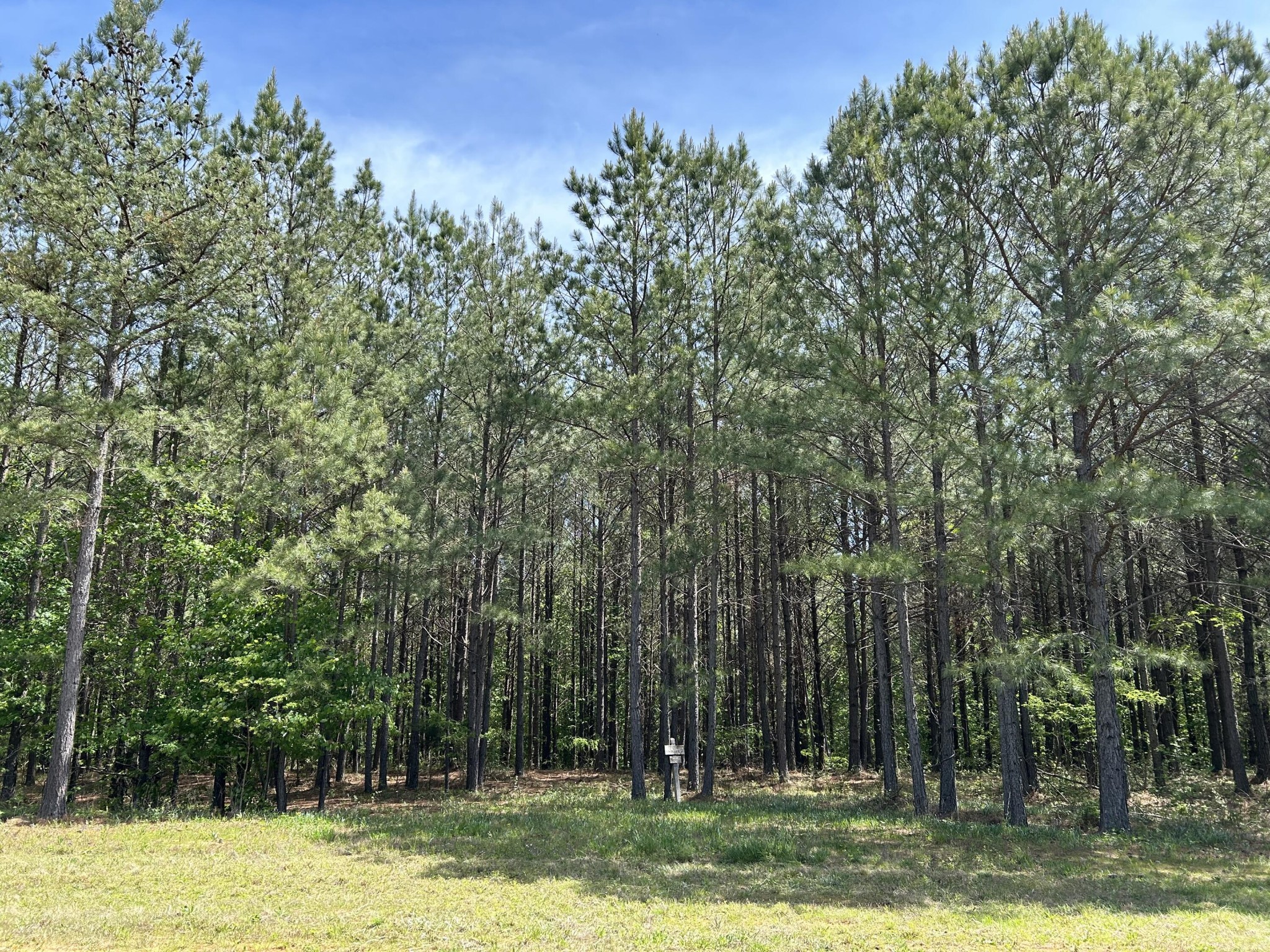 250 Bear Trace Drive Jasper TN 37347